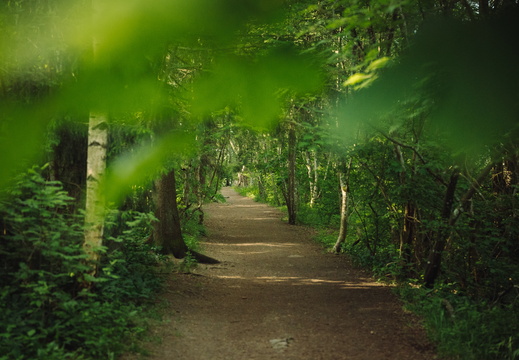 CATTB CA StKarins CAP09792 hires