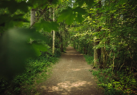 CATTB CA StKarins CAP09793 hires