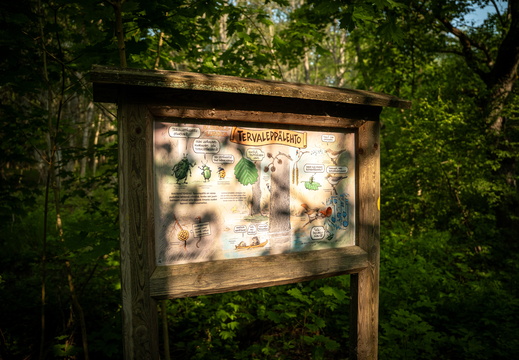 CATTB CA StKarins CAP09787 hires