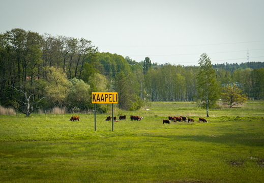 CATTB CA StKarins DSC09548 hires