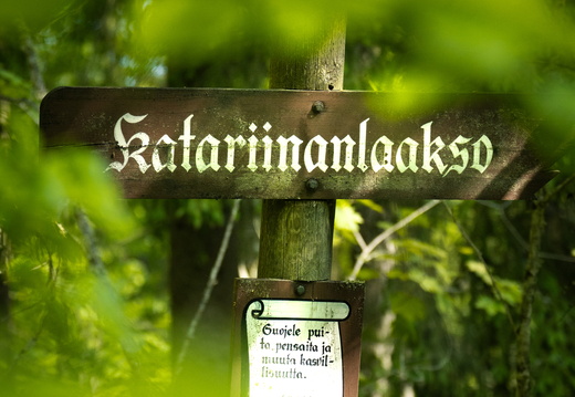 CATTB CA StKarins DSC09535 hires