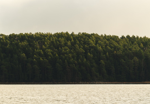 CATTB CA Ringvägen30 DSC01238 hires