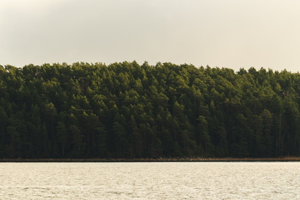 CATTB CA Ringvägen30 DSC01238 hires