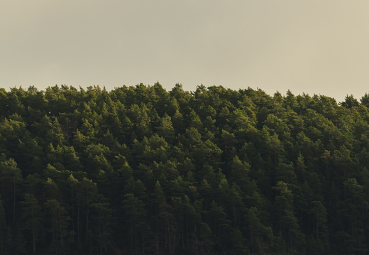 CATTB CA Ringvägen30 DSC01236 hires