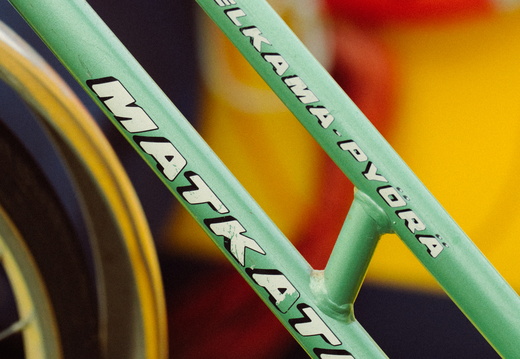 CATTB CA Ringvägen30 DSC01190 hires