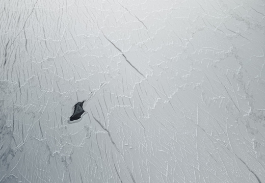 CATTB CA Vintertransport DJI 0062 hires